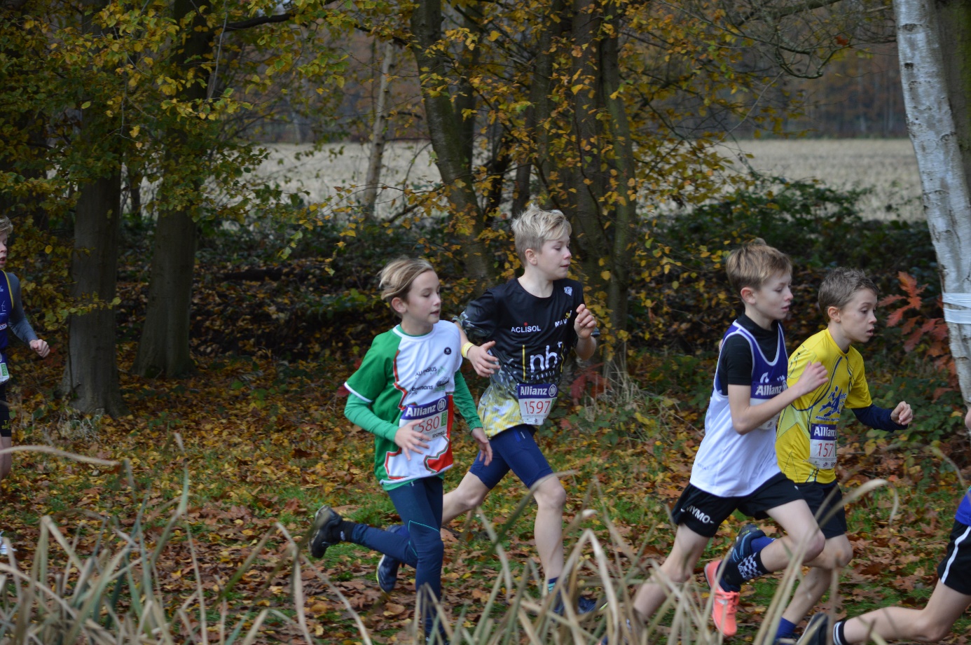 Afbeelding met boom, buitenshuis, gras, sport

Automatisch gegenereerde beschrijving