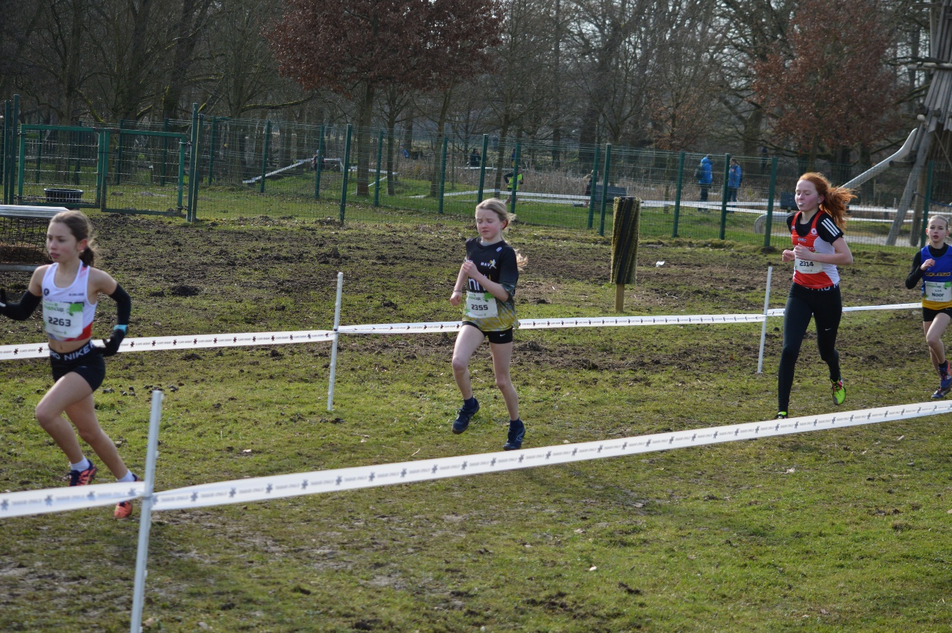 Afbeelding met buitenshuis, gras, boom, persoon

Door AI gegenereerde inhoud is mogelijk onjuist.